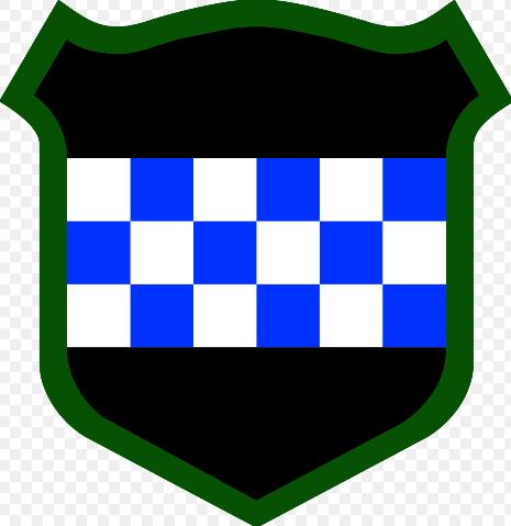 99th Readiness Division insignia