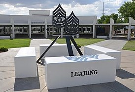 NCO Leadership Center of Excellence