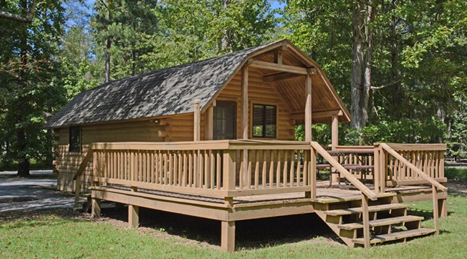cabin in the woods