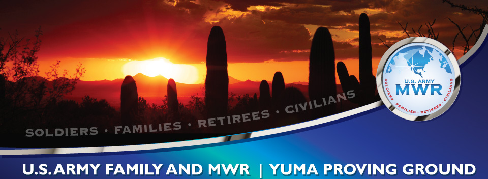MWR logo with desert scene at sunset