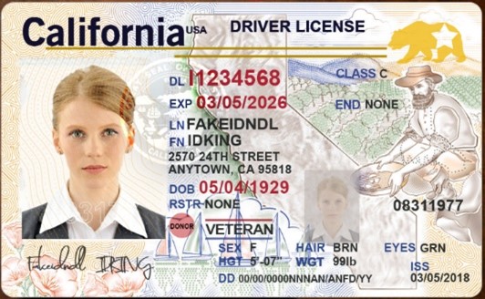 Drivers License with Veterans Designation