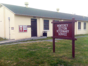 Monterey VTF