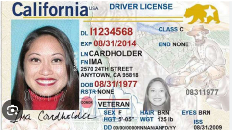 Veterans Drivers License