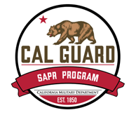 SAPR program insignia