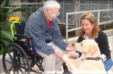 therapy dog with patient