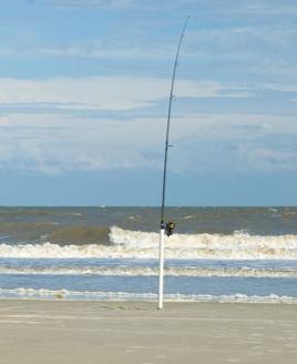 fishing pole set up on the beach