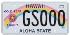 Hawaii Gold Star plate