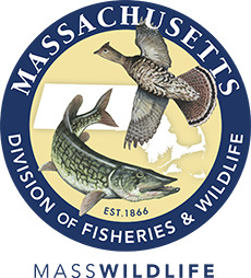 MA Fish and Wildlife insignia