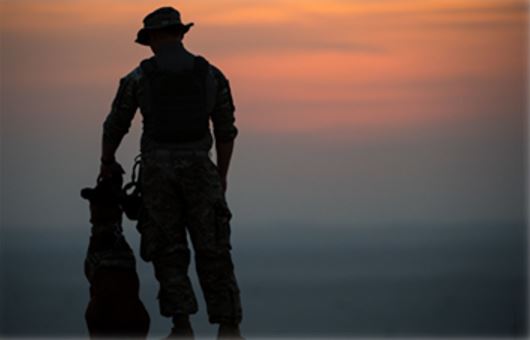 solider with a dog