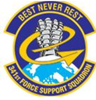  341st Force Support Squadron Insignia