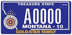 MT Gold Star License plate