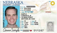 NE Drivers License