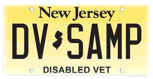 Disabled Vet Plate