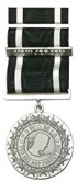 POW-MIA Service Medal