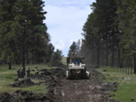 A military vehicle driving on a dirt road surrounded by trees