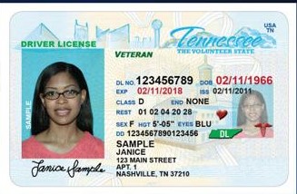  Veterans Designation License