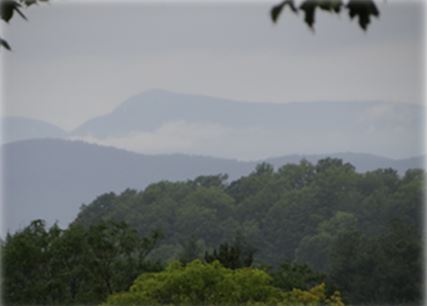 mountains in the fog