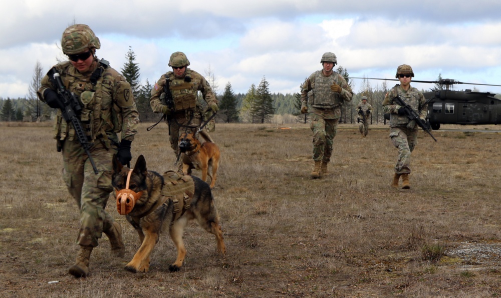 National guard members doing an exercise with a K9, helicopter in the background
